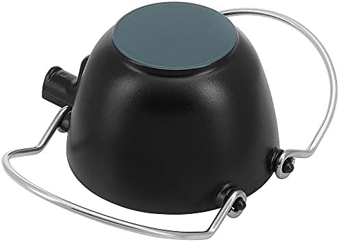 Matte black cast iron tea kettle — photo 4