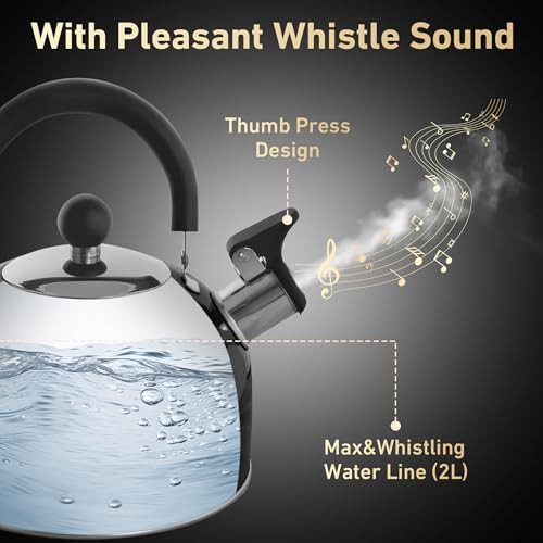 Black Stainless Steel Whistling Tea Kettle — photo 3