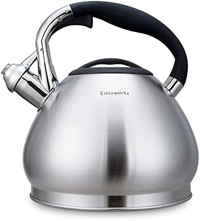 Easyworkz stainless steel 3.1 quart whistle