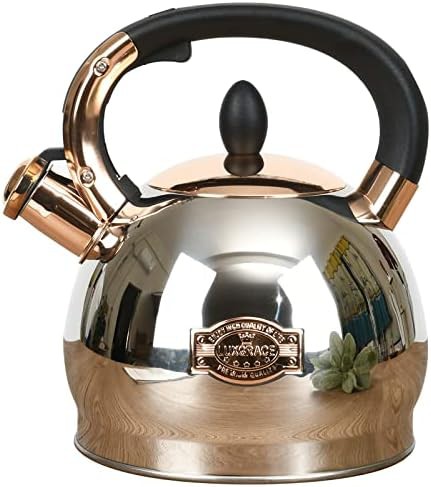 Whistling tea kettle with metal capsulated bottom