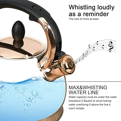 Whistling tea kettle with metal capsulated bottom — photo 3