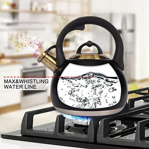 Food grade stainless steel water kettle 3.1 quart — photo 4