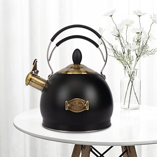 Medium fast boiling tea kettle 2.6 quart — photo 4