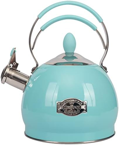 Fast boiling induction tea kettle 2.6 quart