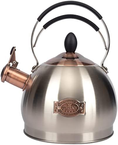 Quick boil induction tea kettle 2.6 quart