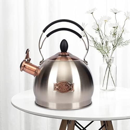 Quick boil induction tea kettle 2.6 quart — photo 5