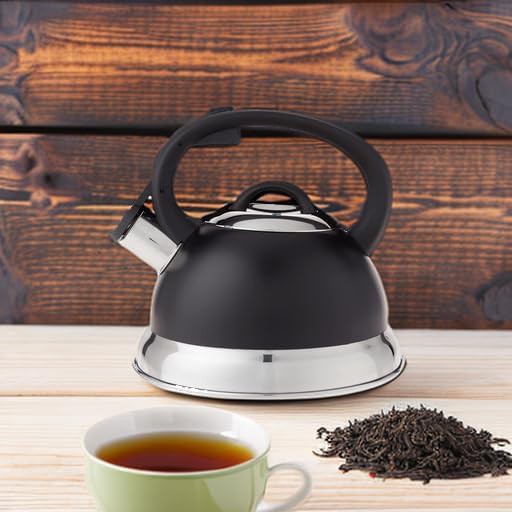 Mr. Coffee Flintshire matte black tea kettle — photo 5