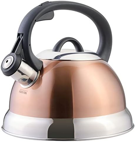 Mr. Coffee Flintshire copper finish tea kettle