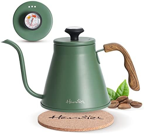 Green stainless steel gooseneck kettle