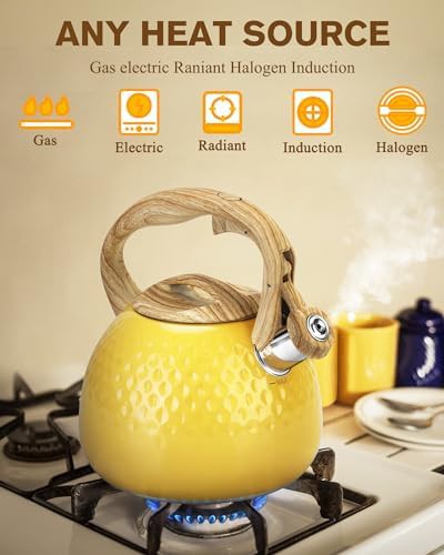 Hauce radio yellow wood pattern kettle — photo 3