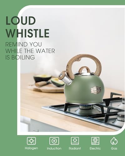 Hauce radio green folding handle kettle — photo 4