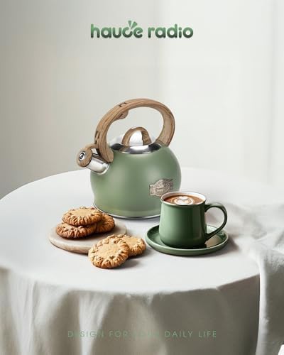 Hauce radio green folding handle kettle — photo 5