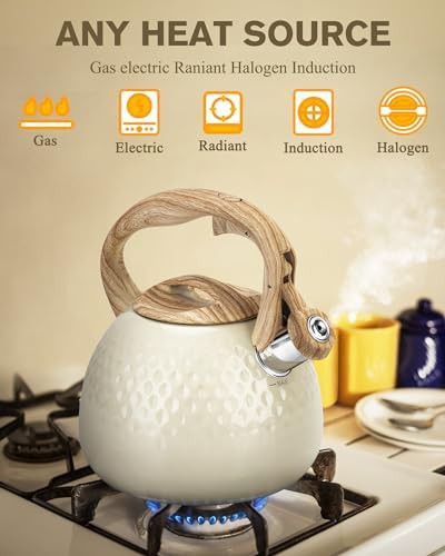 Hauce radio milky white wood handle kettle — photo 3