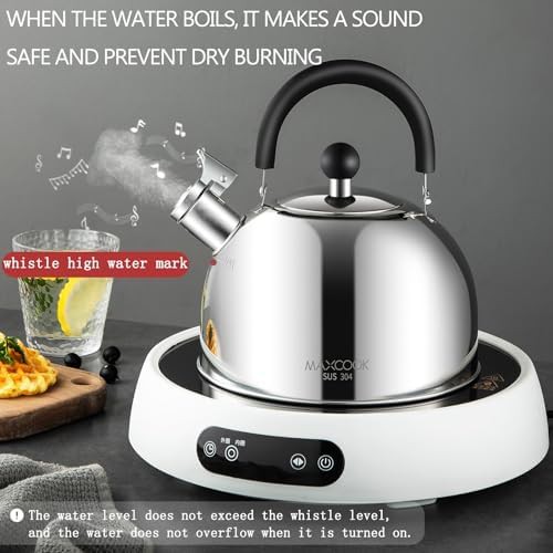 Induction ready 3l stainless steel kettle — photo 3