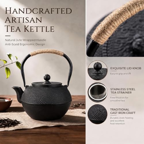 Black cast iron stovetop kettle with infuser — photo 4