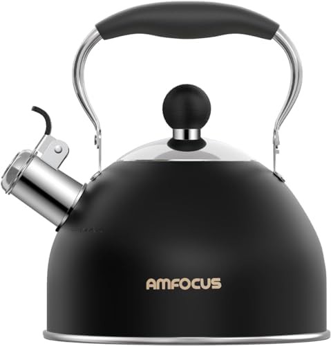 Black stainless steel whistling kettle with folding handle