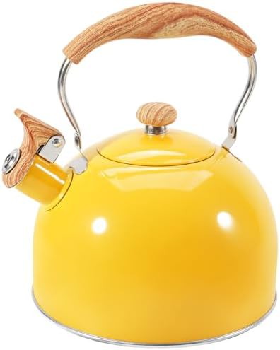 Stainless Steel Whistling Kettle with Folding Handle