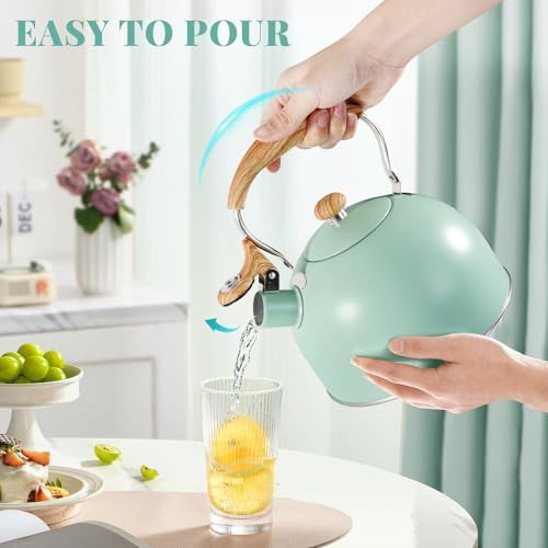 Medium Stainless Steel Whistling Tea Pot — photo 4