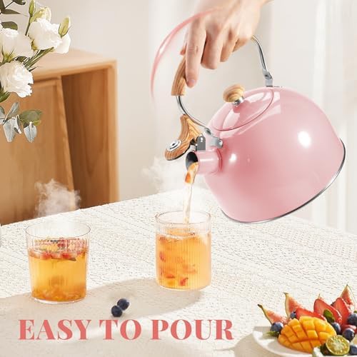 Large Stainless Steel Whistling Tea Pot — photo 4