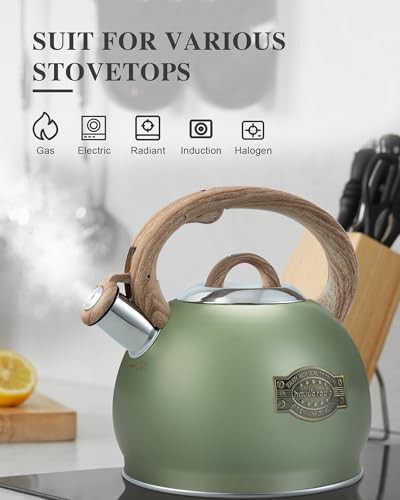 Hauce radio large green stovetop kettle — photo 5