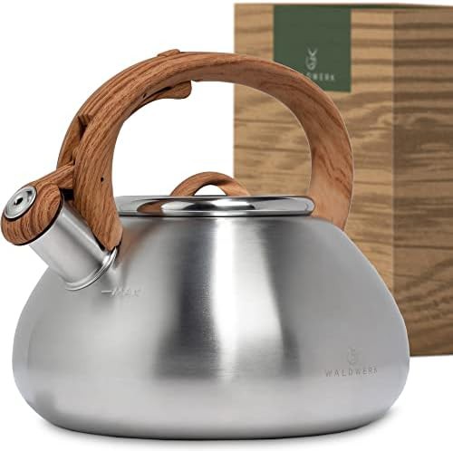 Waldwerk medium stainless steel tea kettle
