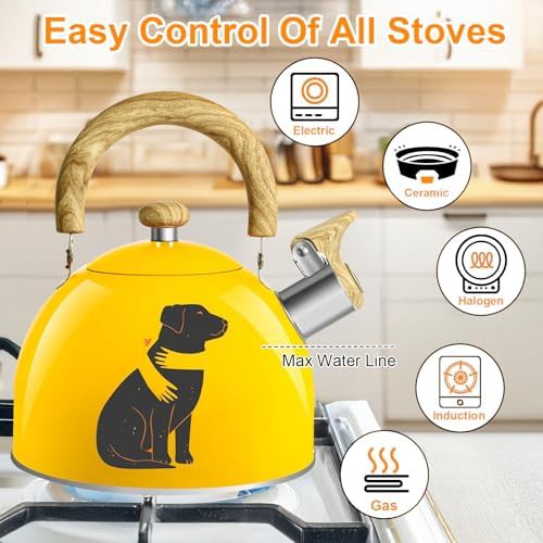 Magic Design Stainless Steel Stovetop Kettle — photo 4