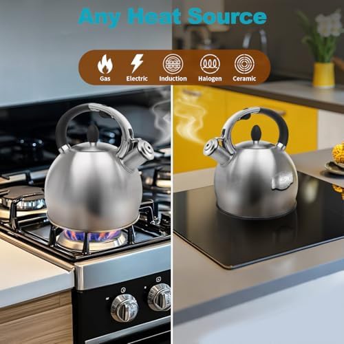 Baerfo Vintage Brushed Stainless Tea Kettle Silver — photo 3