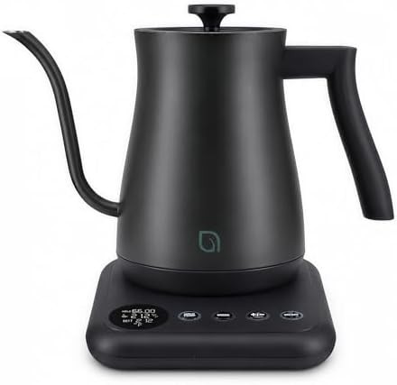 Stainless Steel Gooseneck Electric Kettle 0.8L