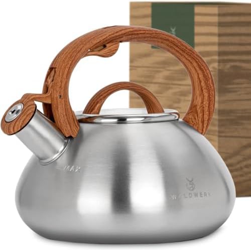 Waldwerk stainless steel stovetop tea kettle
