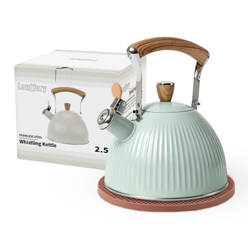 Tea Kettle for Stove Top