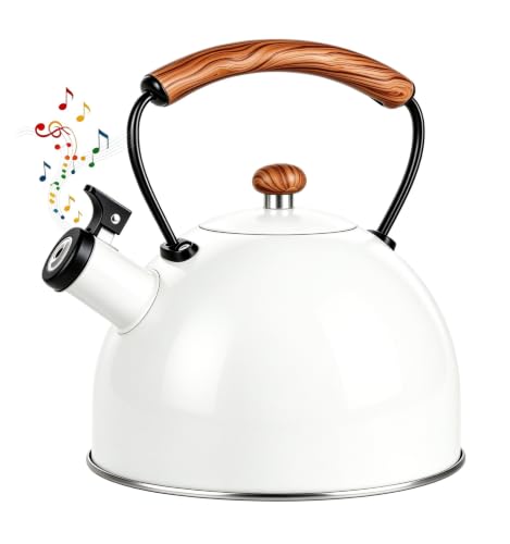 101oz/3.2 Quart Tea Kettle Stovetop