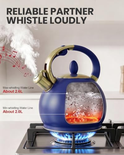 Blue stainless steel whistling tea kettle — photo 4